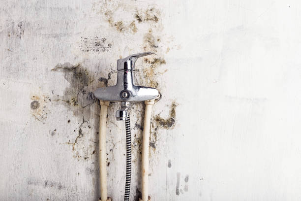  Marion, MS Mold Removal Pros