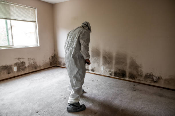 Marion, MS Mold Removal Company